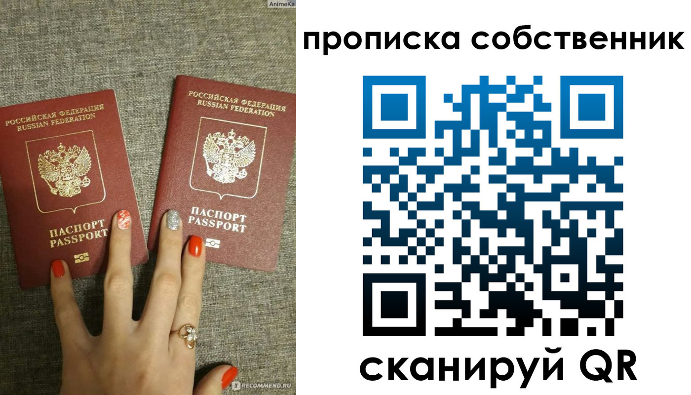 прописка поиск в Чкаловске